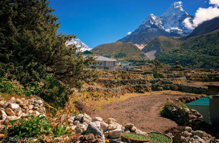  Everest adventure Tour 