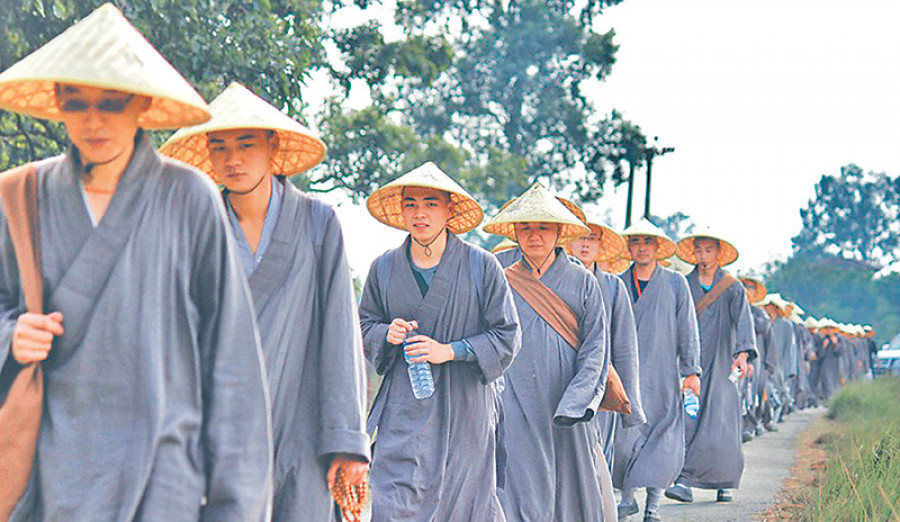 Walking Sticks