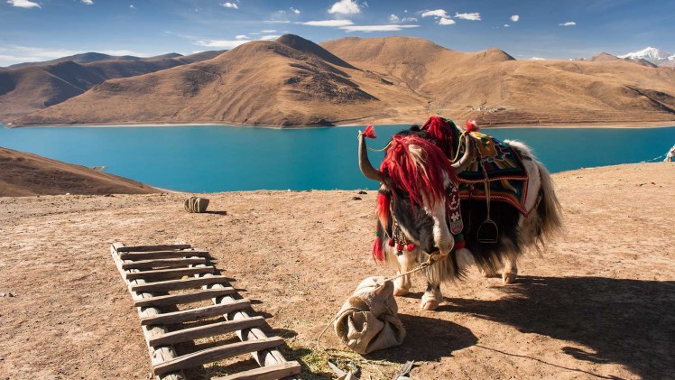 Kathmandu –Everest base camp Lhasa Tour